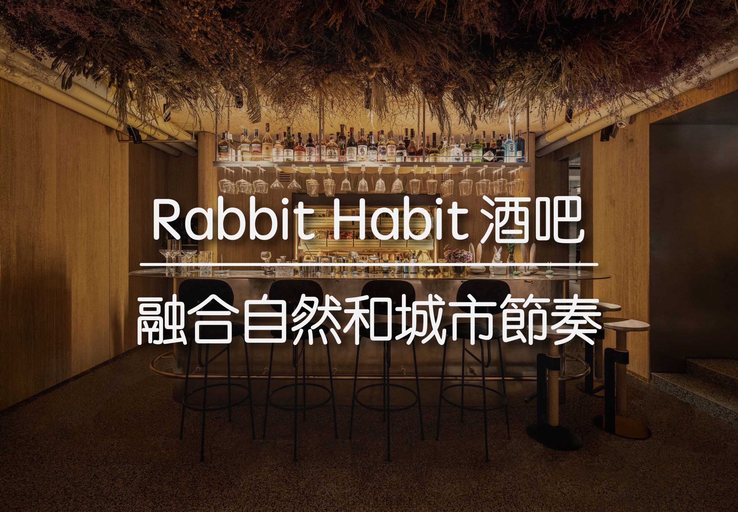 Rabbit Habit 烏克蘭酒吧 | 融合自然和城市節奏