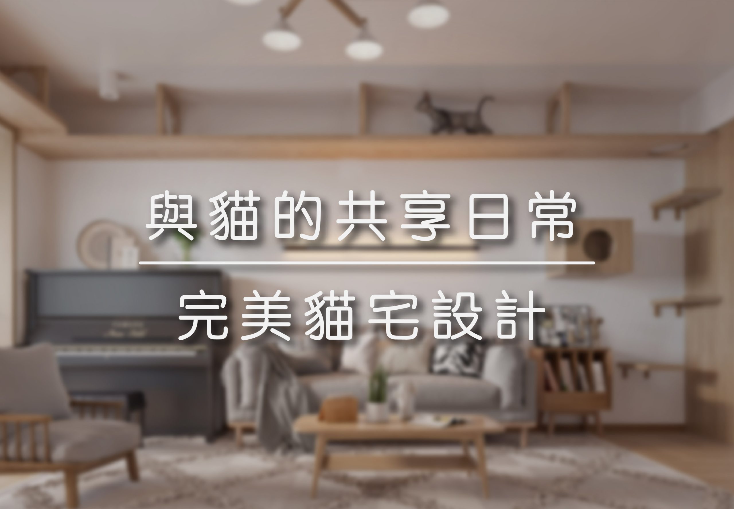 與貓的共享日常 | 完美貓宅設計